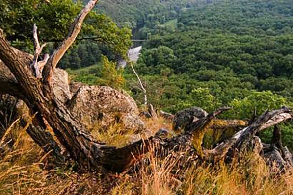 Národní park Podyjí